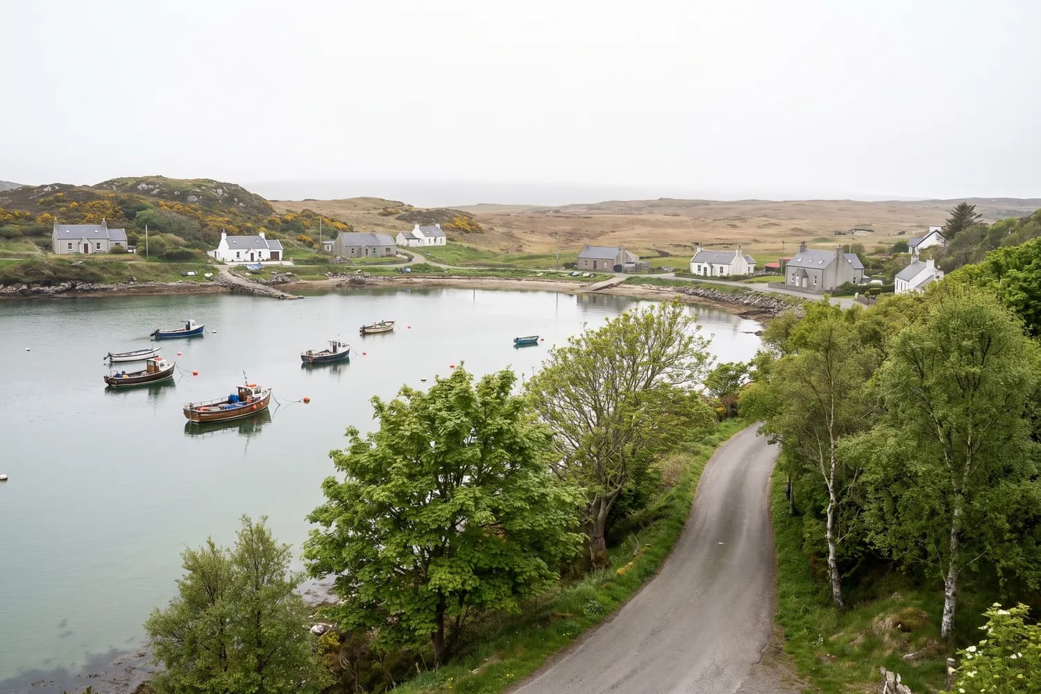 A tree-lined road running past a sheltered harbour where small fishing boats lie at moorings